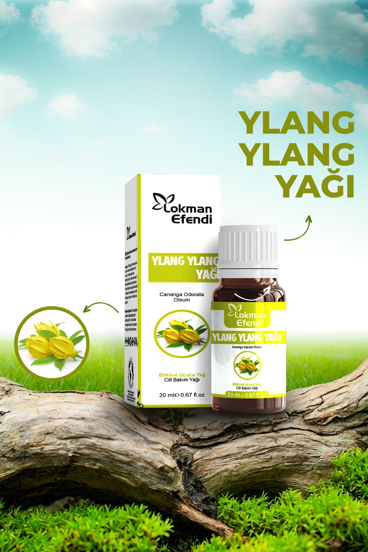 LOKMAN EFENDİ YLANG YLANG YAĞI 20 CC