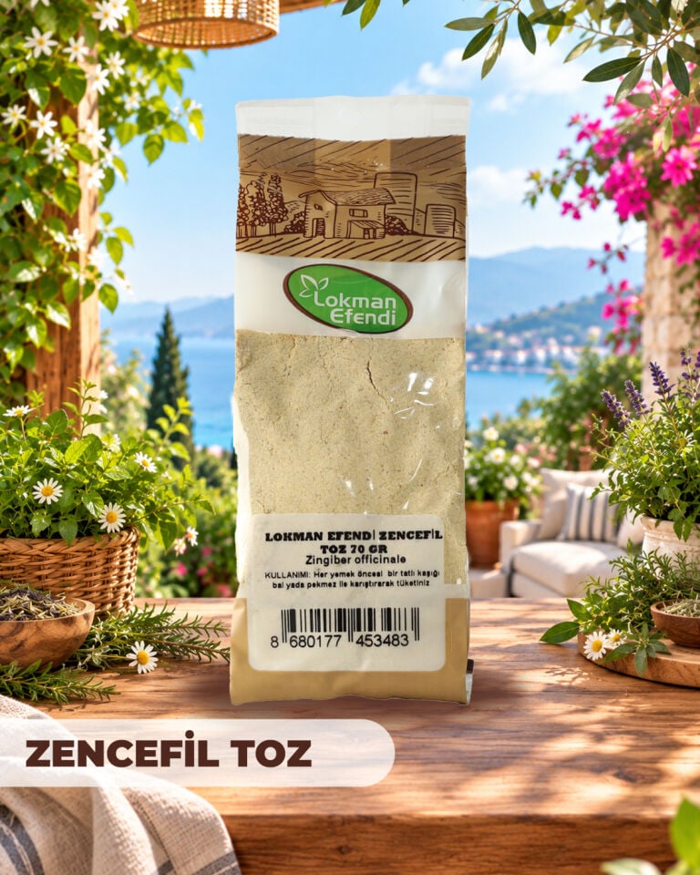 LOKMAN EFENDİ ZENCEFİL TOZ 70 GR