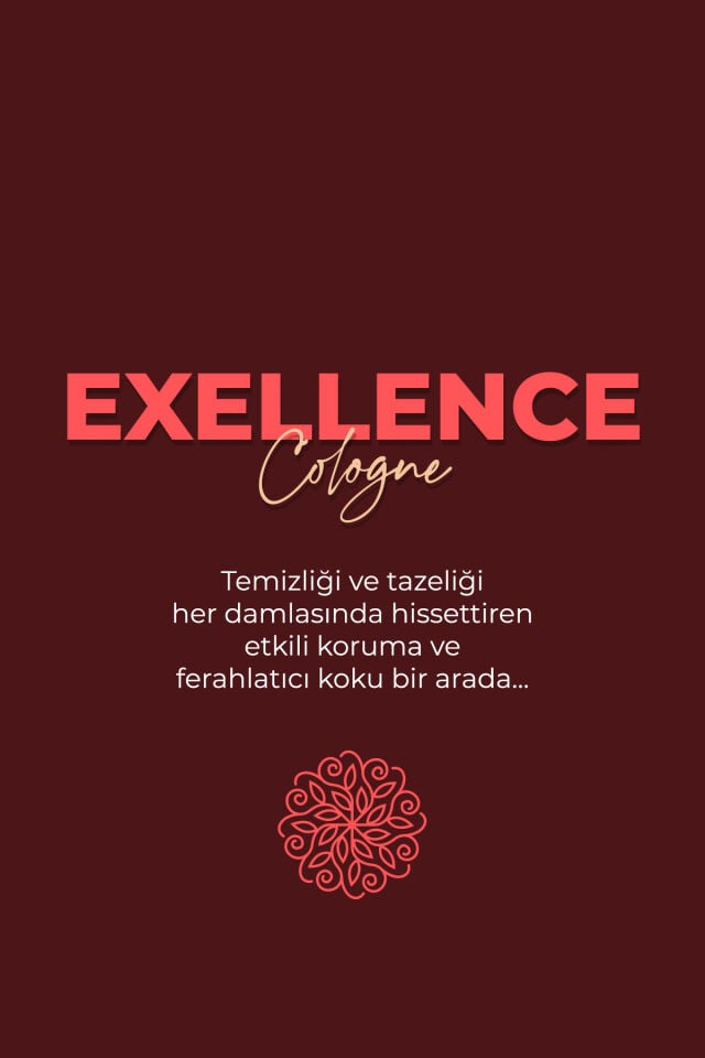 VA COSMETIC EXELLENCE KOLONYA 250 ML