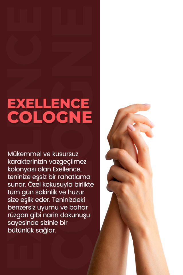 VA COSMETIC EXELLENCE KOLONYA 400 ML