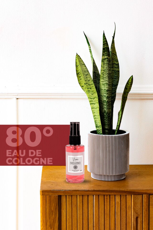 VA COSMETIC EXELLENCE KOLONYA 50 ML