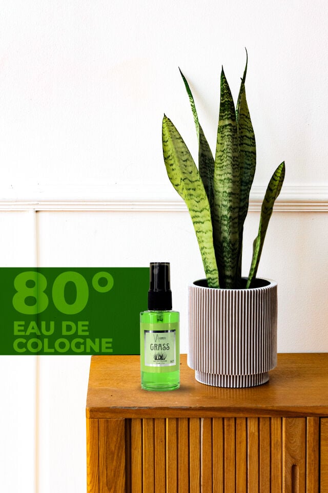 VA COSMETIC GRASS KOLONYA 50 ML