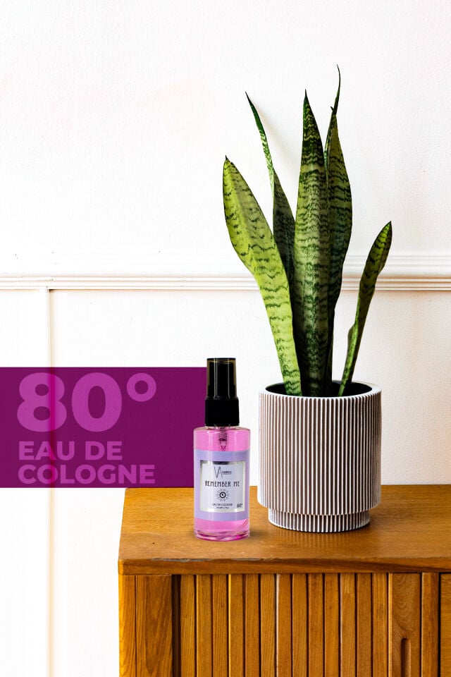 VA COSMETIC REMEMBER ME KOLONYA 50 ML