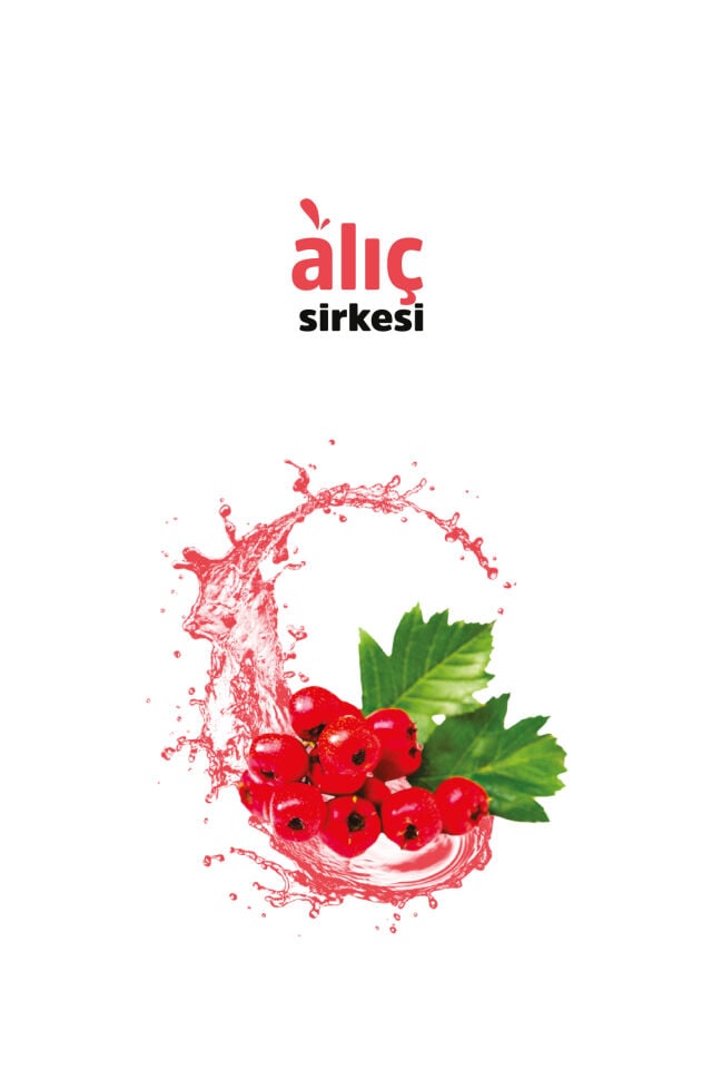 VHP ALIÇ SİRKESİ 500 ML