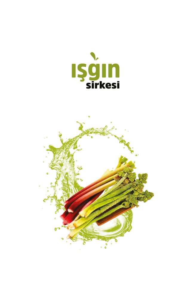 VHP IŞGIN SİRKESİ 500 ML