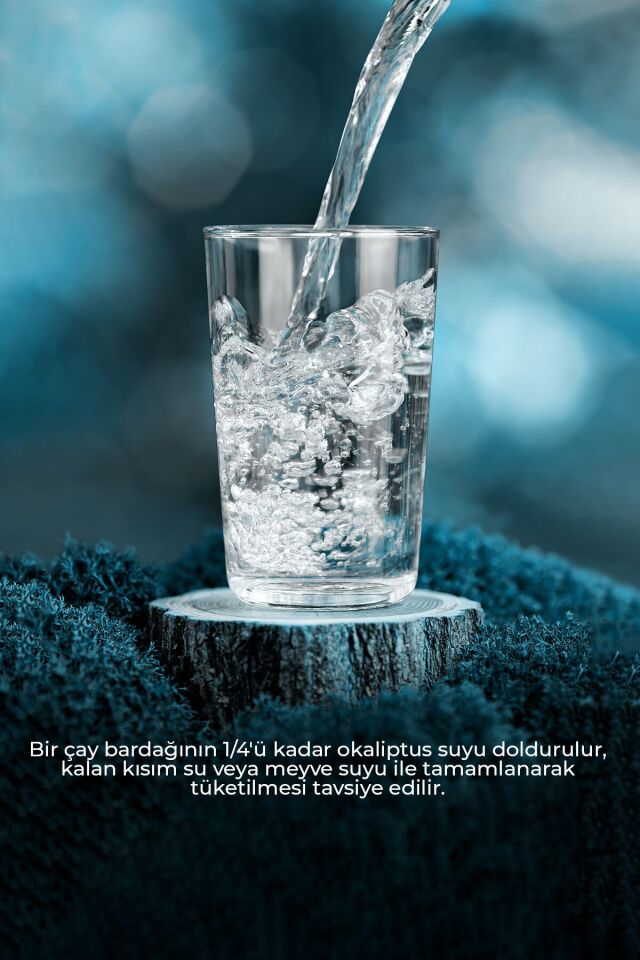 Okaliptus Suyu 500 ml
