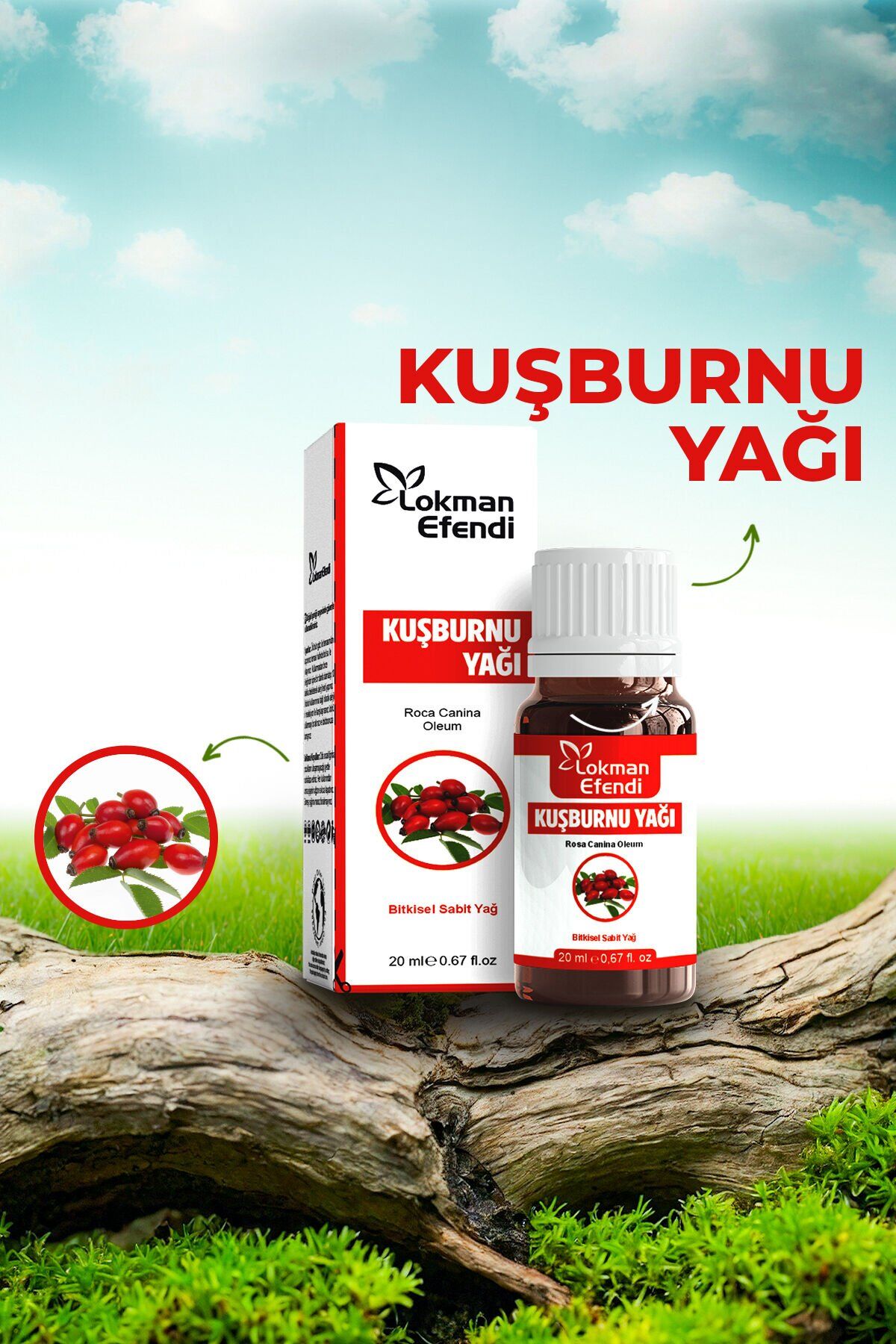 Kuşburnu Yağı