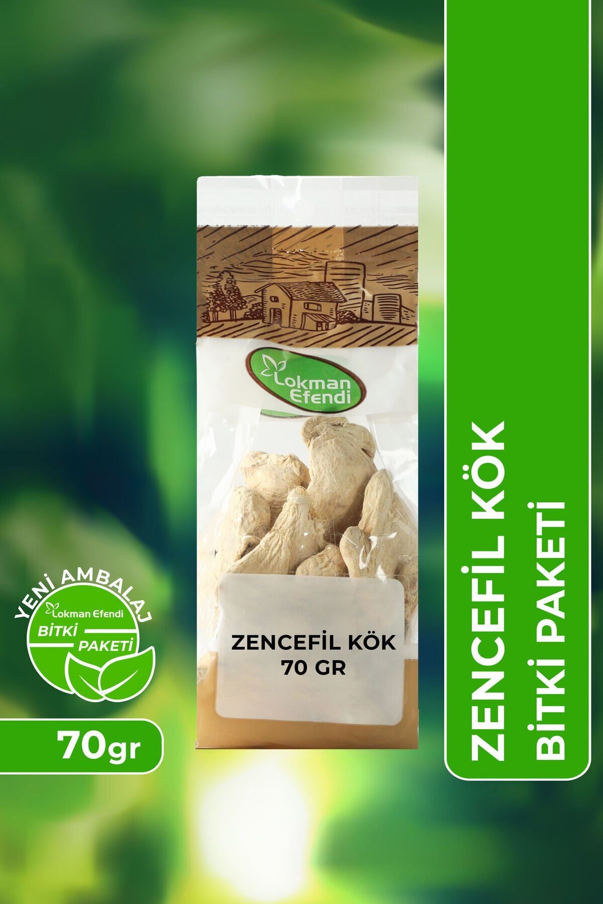 Vhp Zencefil Kök