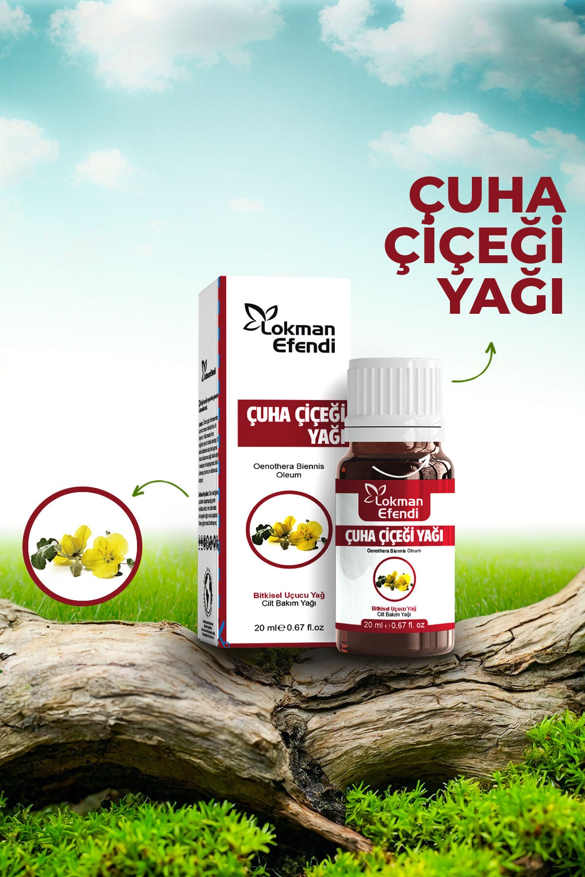LOKMAN EFENDİ ÇUHA ÇİÇEĞİ YAĞI 20 CC
