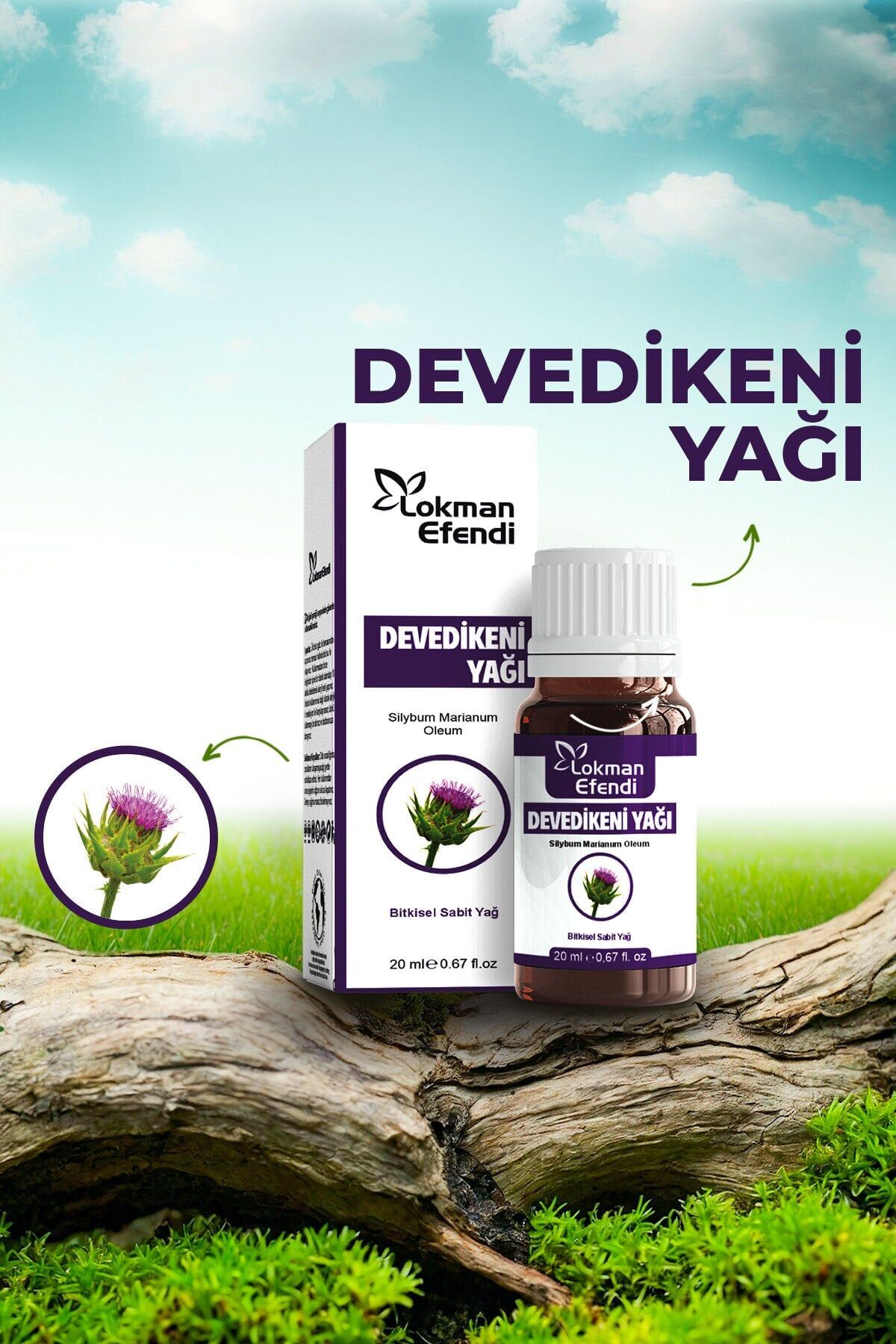 Lokman Efendi Deve Dikeni