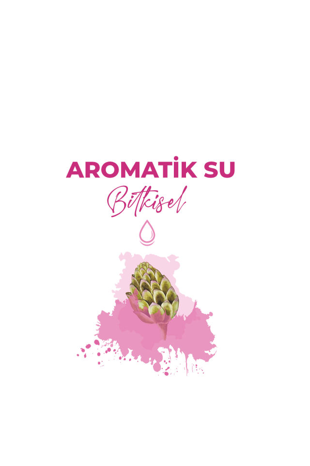 LOKMAN EFENDİ ENGİNAR SUYU 500 ML