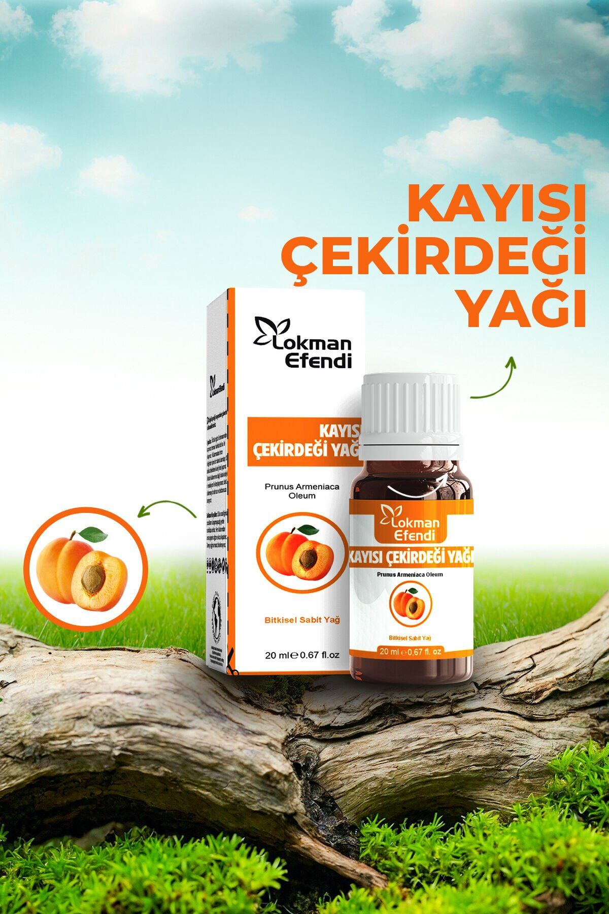 Lokman Efendi Kayısı Çekirdeği Yağı