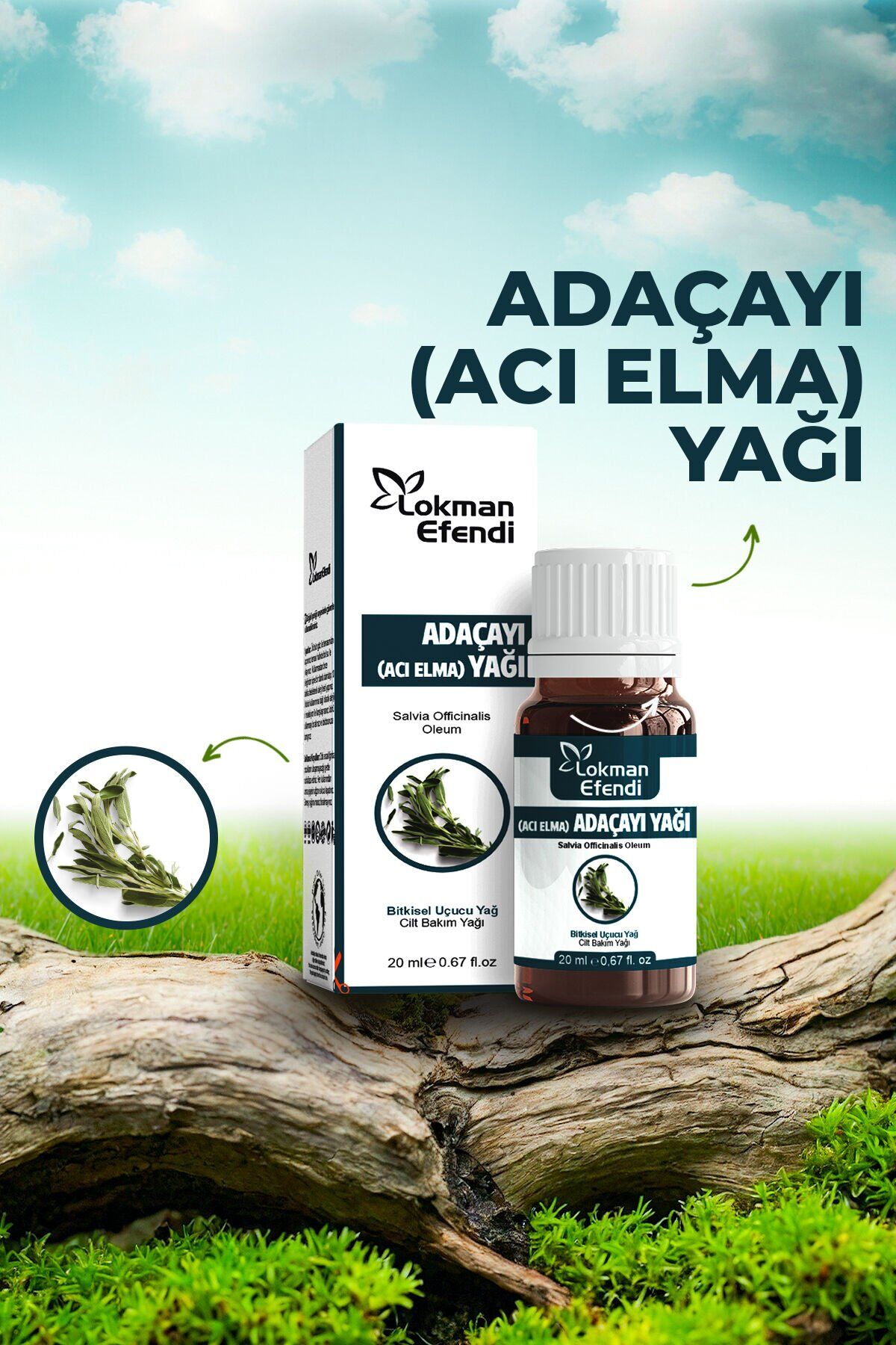Lokman Efendi Adaçayı Yağı