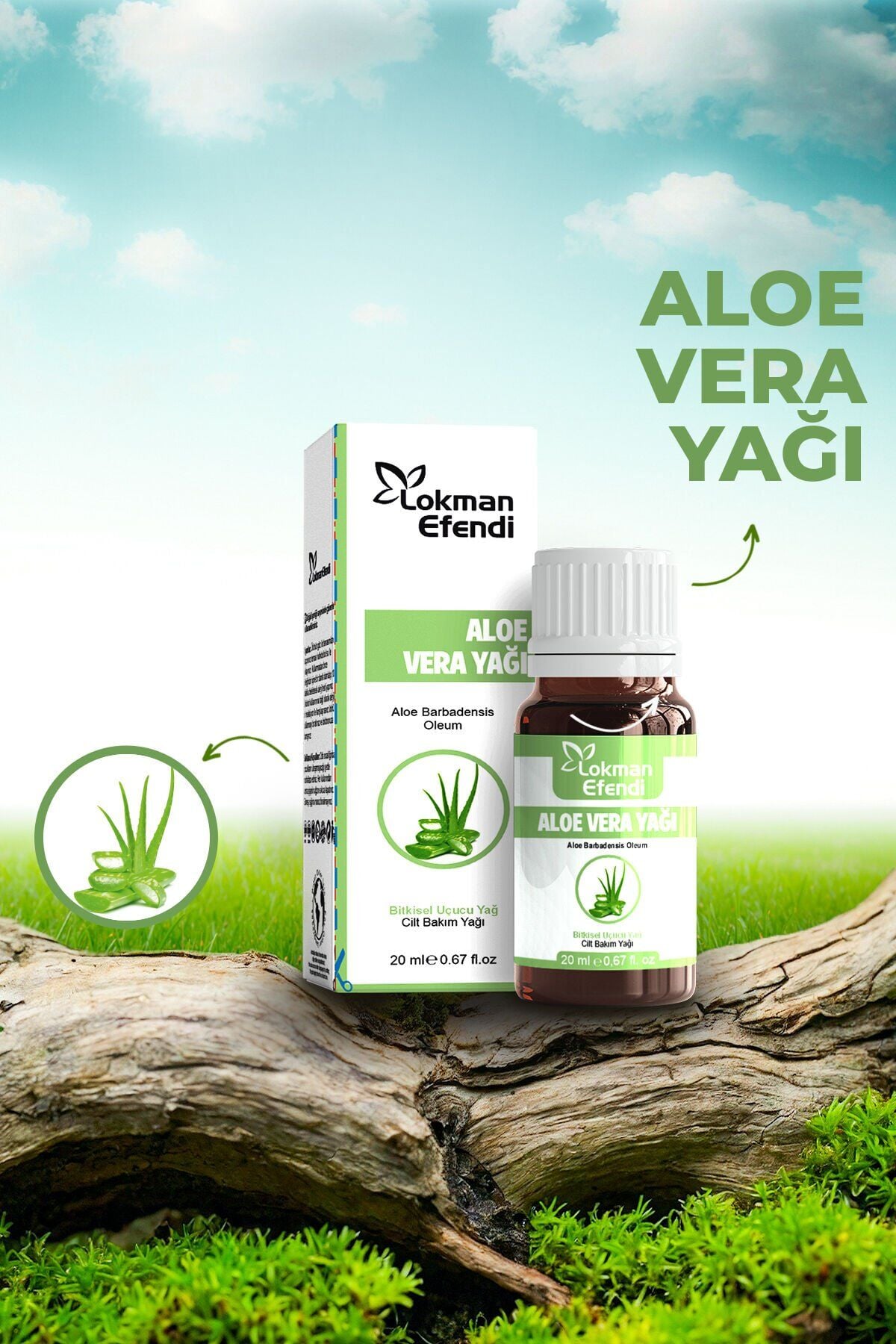 Lokman Efendi Aloe Vera Yağı