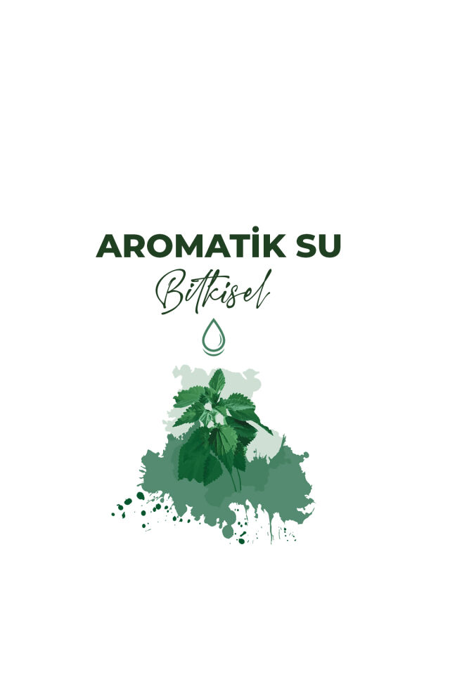 LOKMAN EFENDİ ISIRGAN SUYU 500 ML
