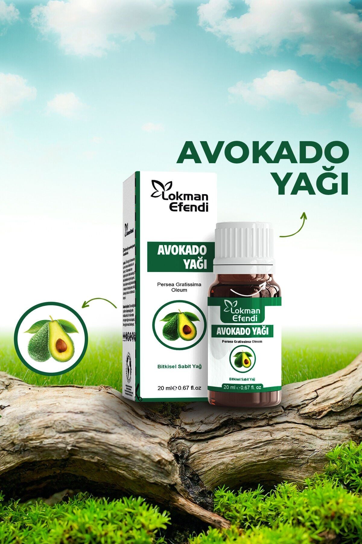 Avokado Yağı