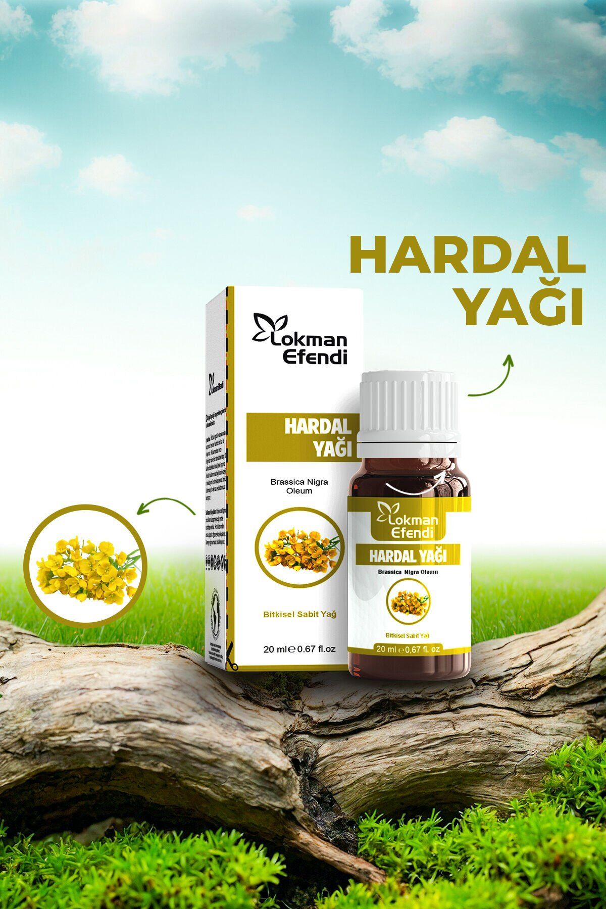 Hardal Yağı