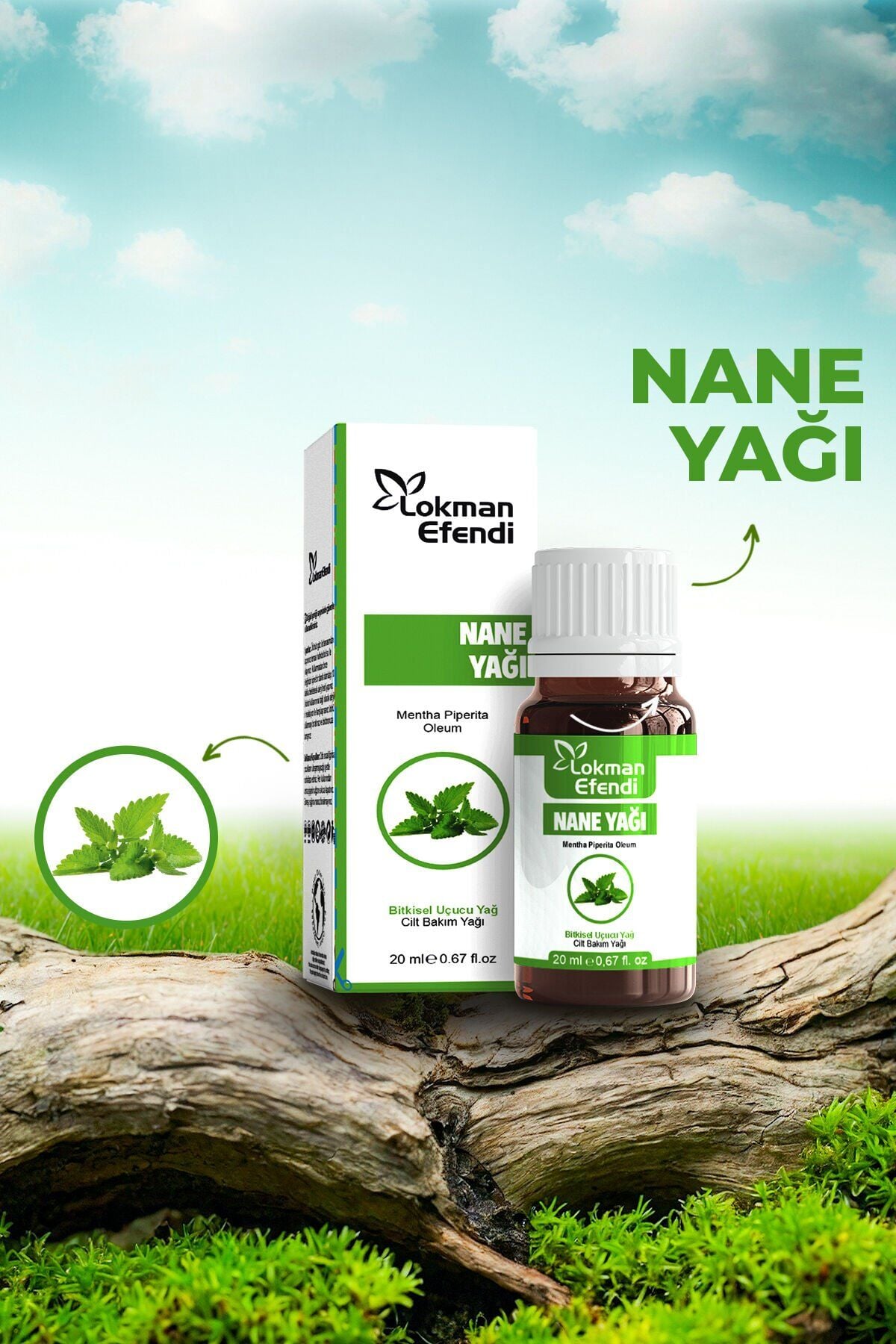Nane Yağı