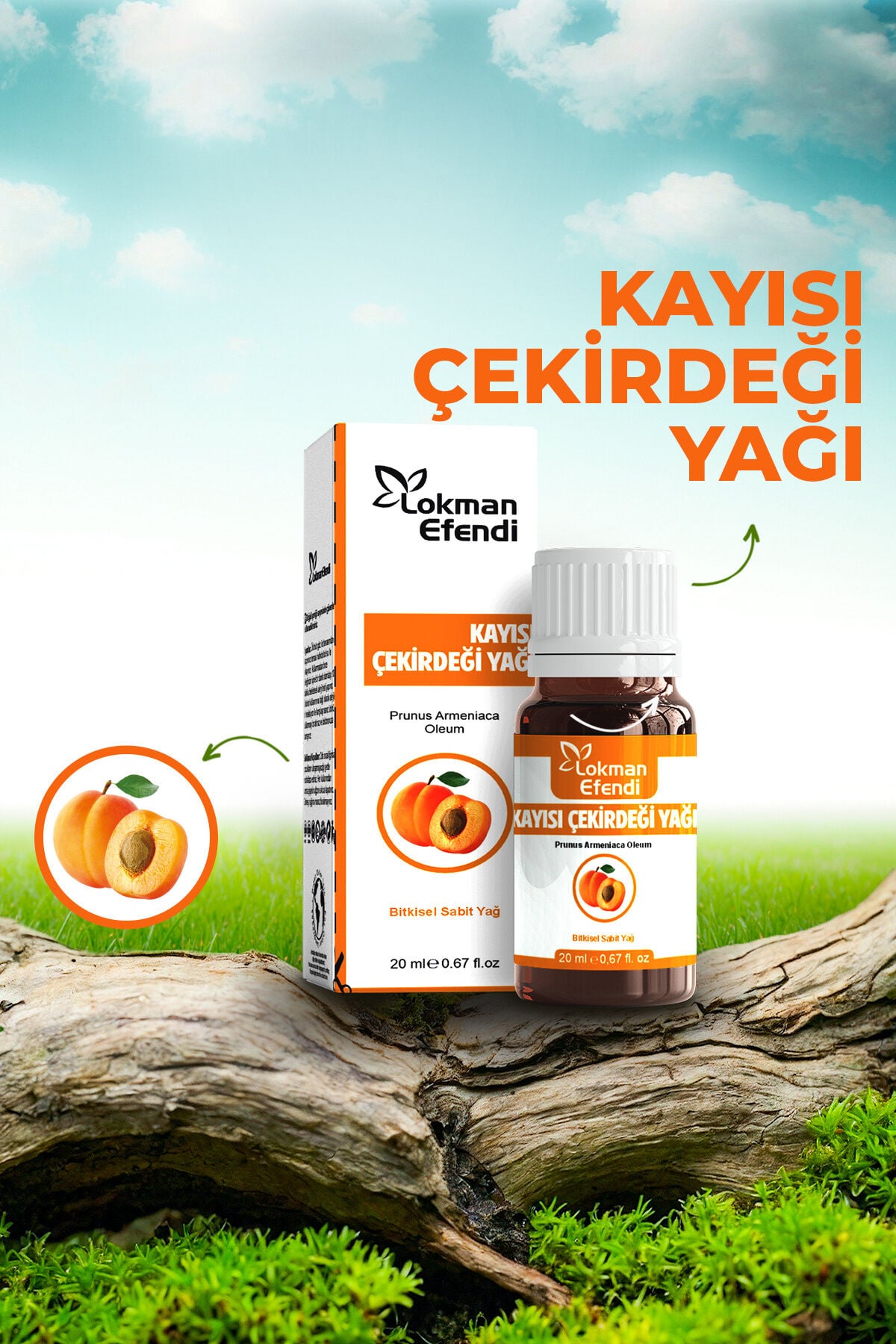 LOKMAN EFENDİ KAYISI YAĞI 20 CC