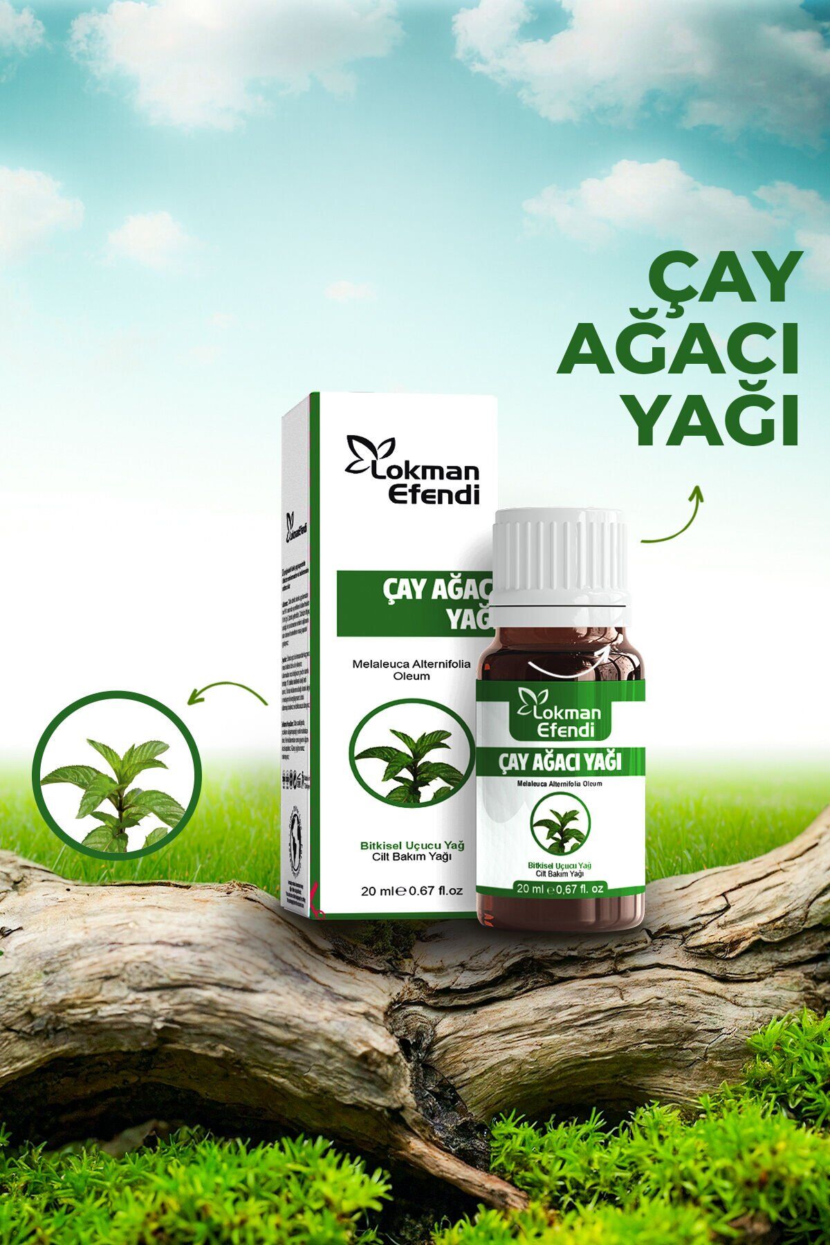 Çay Ağacı Yağı