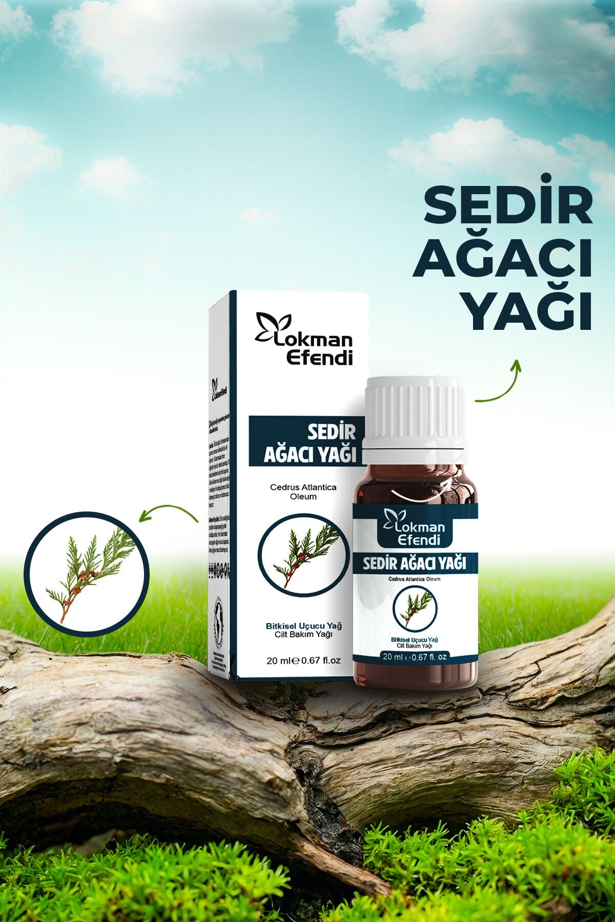 LOKMAN EFENDİ SEDİR YAĞI 20 CC
